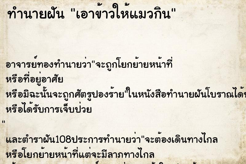 ทำนายฝัน เอาข้าวให้แมวกิน ตำราโบราณ แม่นที่สุดในโลก