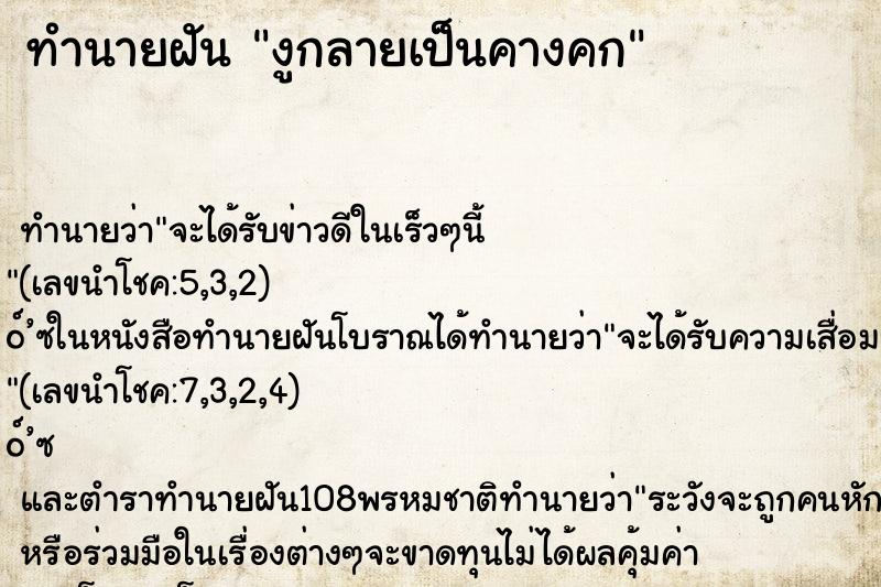 ทำนายฝันงูกลายเป็นคางคก ทำนายฝันทำนายฝันงูกลายเป็นคางคก