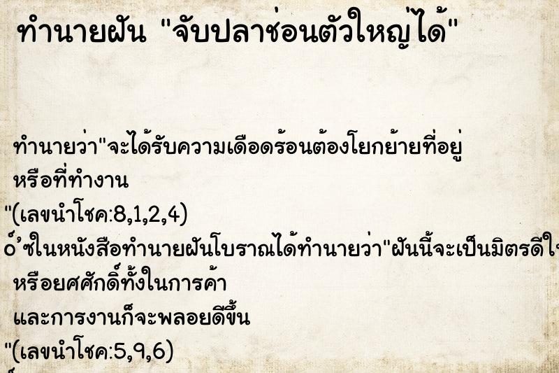 ทำนายฝันทำนายฝันจับปลาช่อนตัวใหญ่ได้