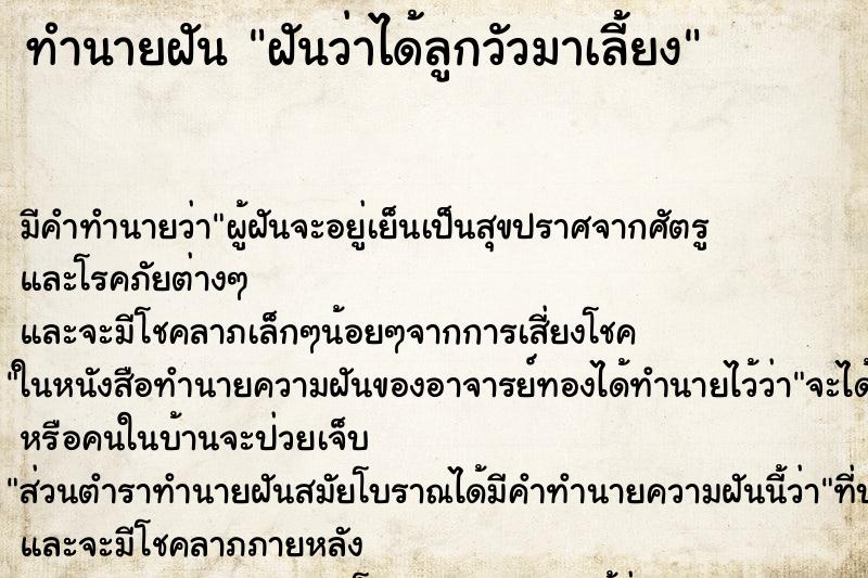 ทำนายฝัน ฝันว่าได้ลูกวัวมาเลี้ยง ตำราโบราณ แม่นที่สุดในโลก