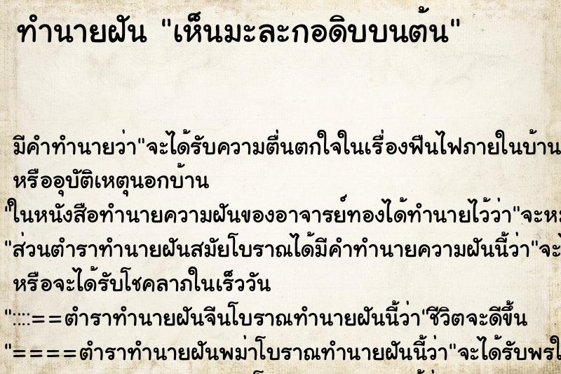 ทำนายฝัน เห็นมะละกอดิบบนต้น