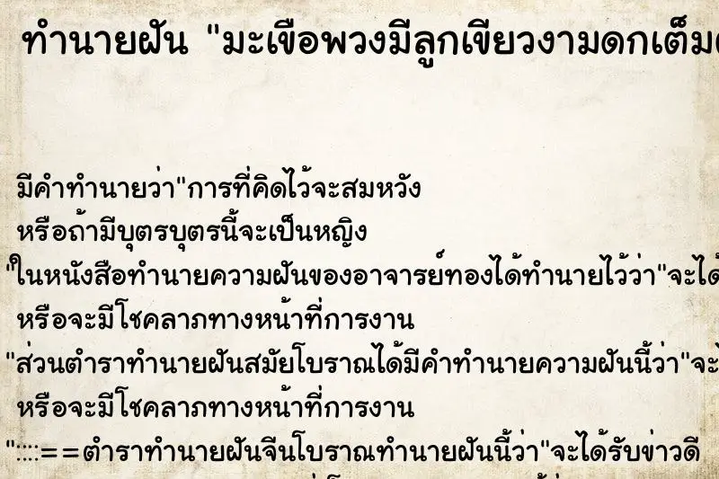 ทำนายฝัน มะเขือพวงมีลูกเขียวงามดกเต็มต้น ทำนายฝัน มะเขือพวงมีลูกเขียวงามดกเต็มต้น