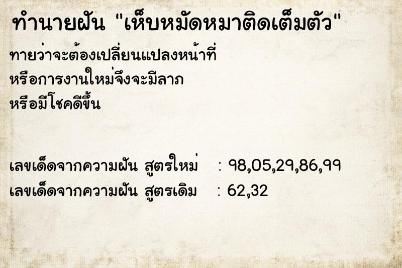 ทำนายฝันเห็บหมัดหมาติดเต็มตัว ทำนายฝันทำนายฝันเห็บหมัดหมาติดเต็มตัว