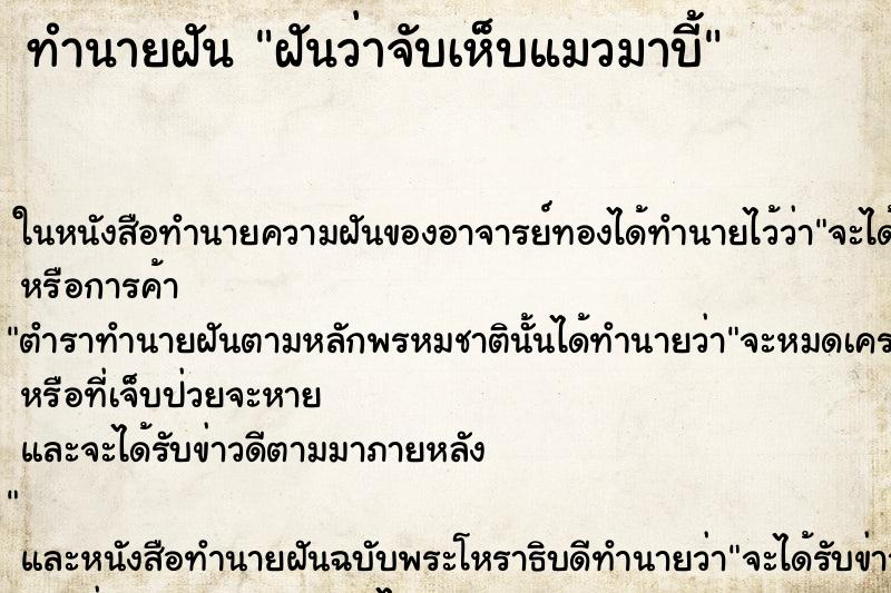 ทำนายฝันทำนายฝันฝันว่าจับเห็บแมวมาบี้
