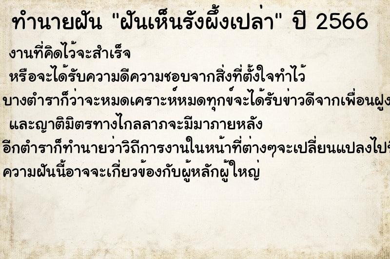 ทำนายฝันฝันเห็นรังผึ้งเปล่า ทำนายฝันทำนายฝันฝันเห็นรังผึ้งเปล่า
