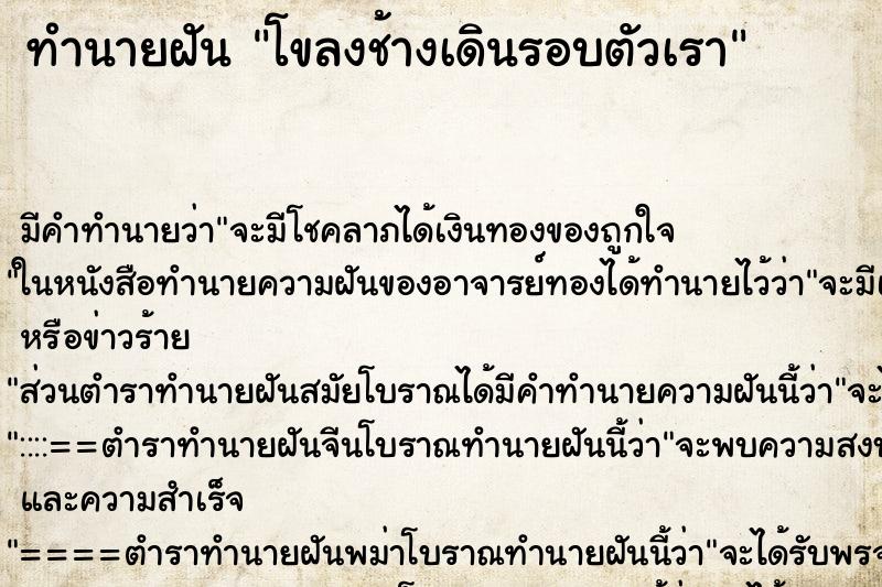 ทำนายฝัน โขลงช้างเดินรอบตัวเรา ทำนายฝัน โขลงช้างเดินรอบตัวเรา