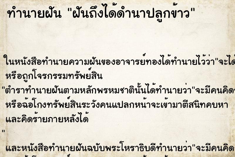 ทำนายฝันฝันถึงได้ดำนาปลูกข้าว ทำนายฝันทำนายฝันฝันถึงได้ดำนาปลูกข้าว