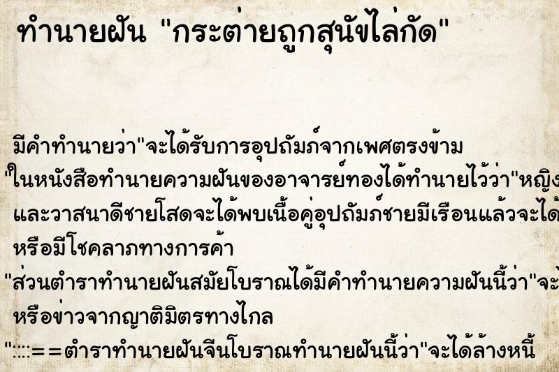 ทำนายฝัน กระต่ายถูกสุนัขไล่กัด ทำนายฝัน กระต่ายถูกสุนัขไล่กัด