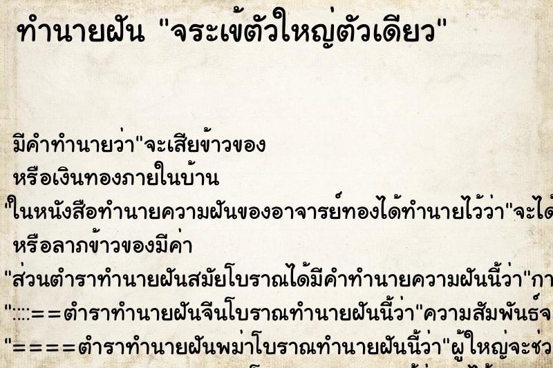 ทำนายฝันจระเข้ตัวใหญ่ตัวเดียว ทำนายฝันทำนายฝันจระเข้ตัวใหญ่ตัวเดียว
