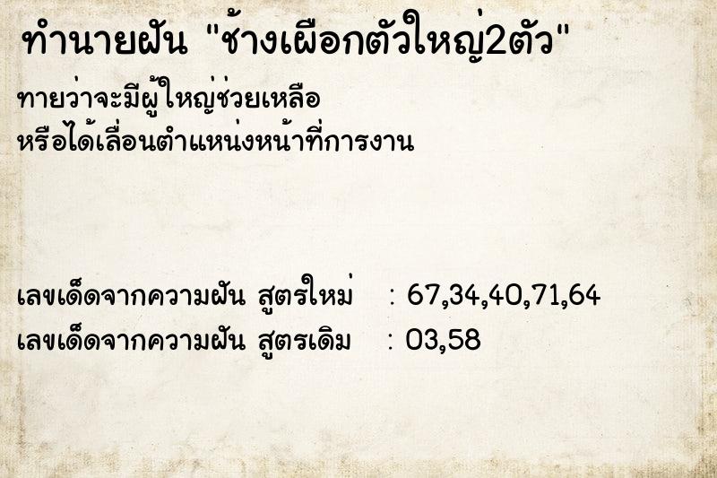 ทำนายฝัน ช้างเผือกตัวใหญ่2ตัว ทำนายฝัน ช้างเผือกตัวใหญ่2ตัว