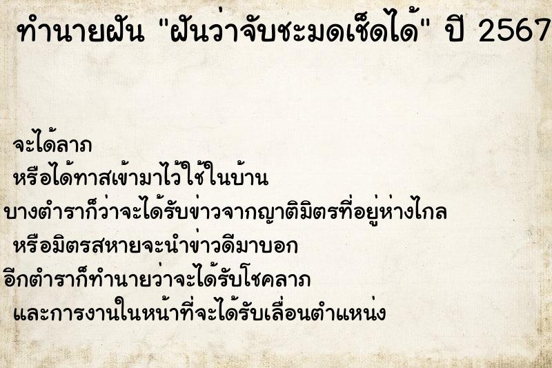 ทำนายฝันฝันว่าจับชะมดเช็ดได้ ทำนายฝันทำนายฝันฝันว่าจับชะมดเช็ดได้