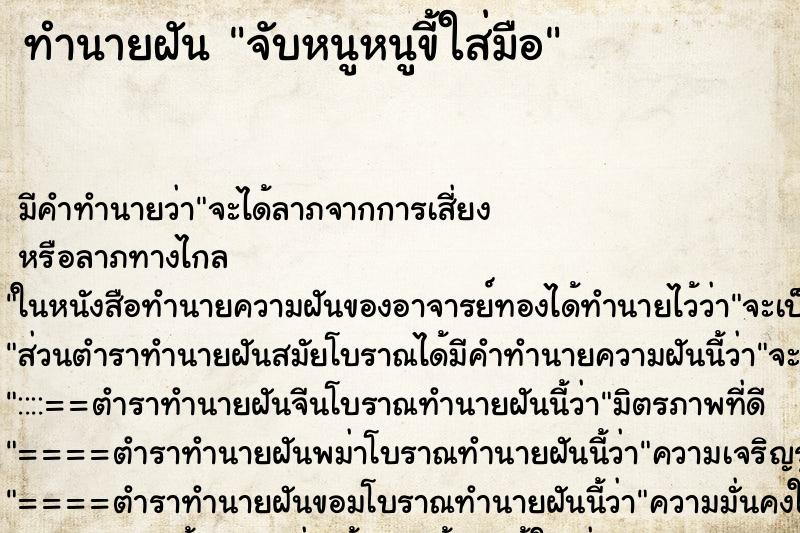 ทำนายฝัน จับหนูหนูขี้ใส่มือ ทำนายฝัน จับหนูหนูขี้ใส่มือ