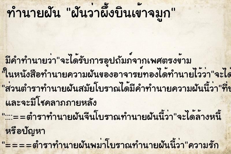 ทำนายฝัน ฝันว่าผึ้งบินเข้าจมูก ตำราโบราณ แม่นที่สุดในโลก