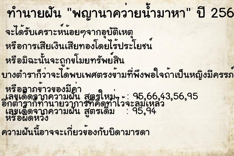 ทำนายฝัน พญานาคว่ายน้ำมาหา ทำนายฝัน พญานาคว่ายน้ำมาหา