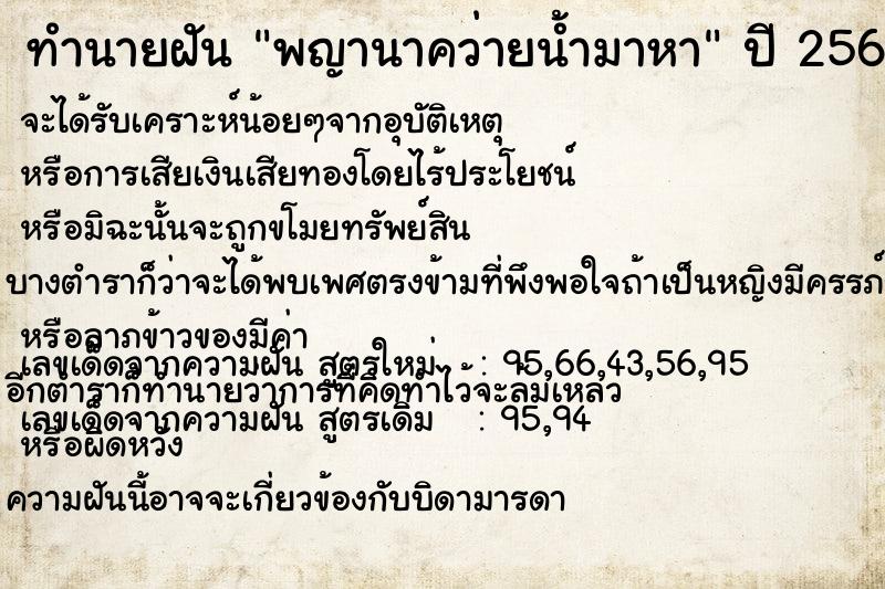 ทำนายฝัน พญานาคว่ายน้ำมาหา ตำราโบราณ แม่นที่สุดในโลก