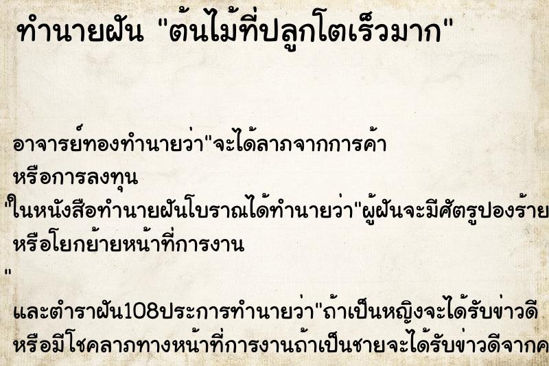 ทำนายฝันต้นไม้ที่ปลูกโตเร็วมาก ทำนายฝันทำนายฝันต้นไม้ที่ปลูกโตเร็วมาก