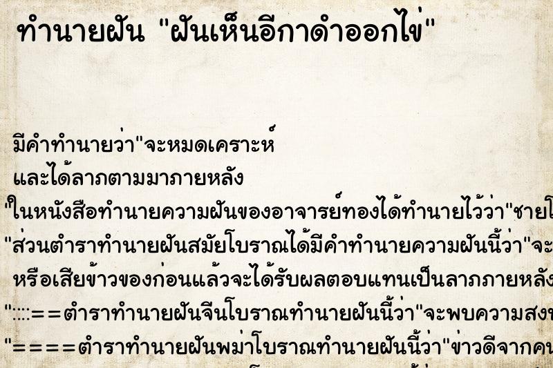 ทำนายฝันฝันเห็นอีกาดำออกไข่ ทำนายฝันทำนายฝันฝันเห็นอีกาดำออกไข่