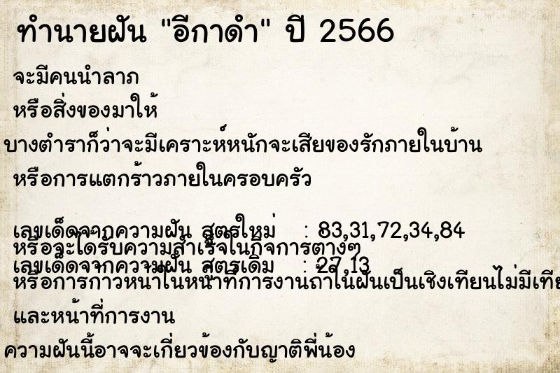 ทำนายฝัน อีกาดำ ทำนายฝัน อีกาดำ