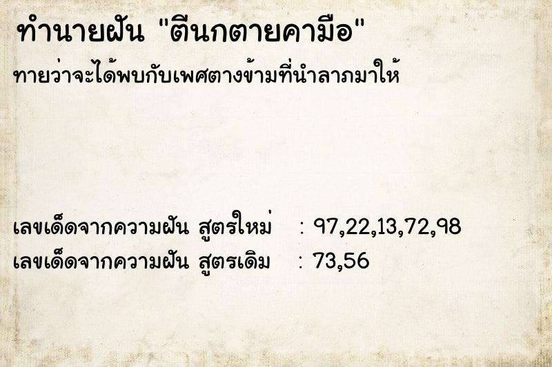 ทำนายฝัน ตีนกตายคามือ ทำนายฝัน ตีนกตายคามือ