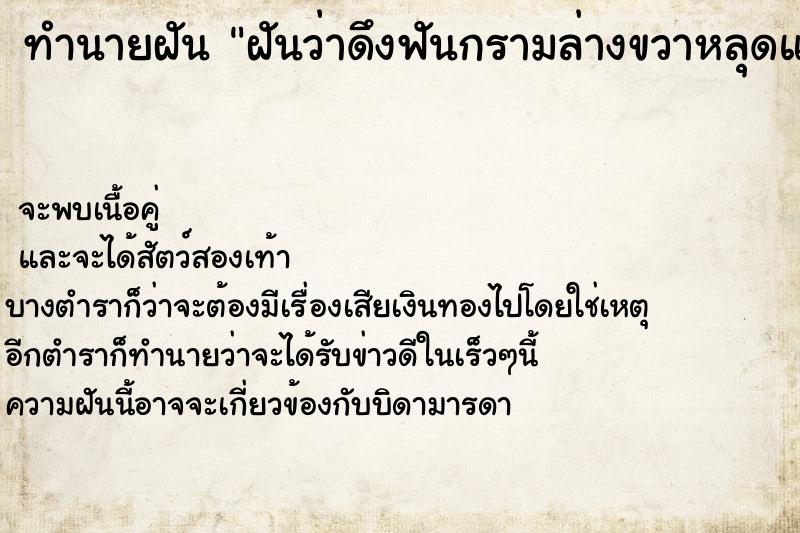 ทำนายฝัน ฝันว่าดึงฟันกรามล่างขวาหลุดและมีเลือดออก ทำนายฝัน ฝันว่าดึงฟันกรามล่างขวาหลุดและมีเลือดออก