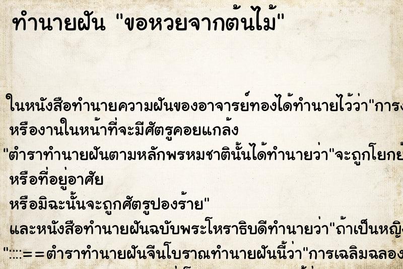 ทำนายฝันขอหวยจากต้นไม้ ทำนายฝันทำนายฝันขอหวยจากต้นไม้