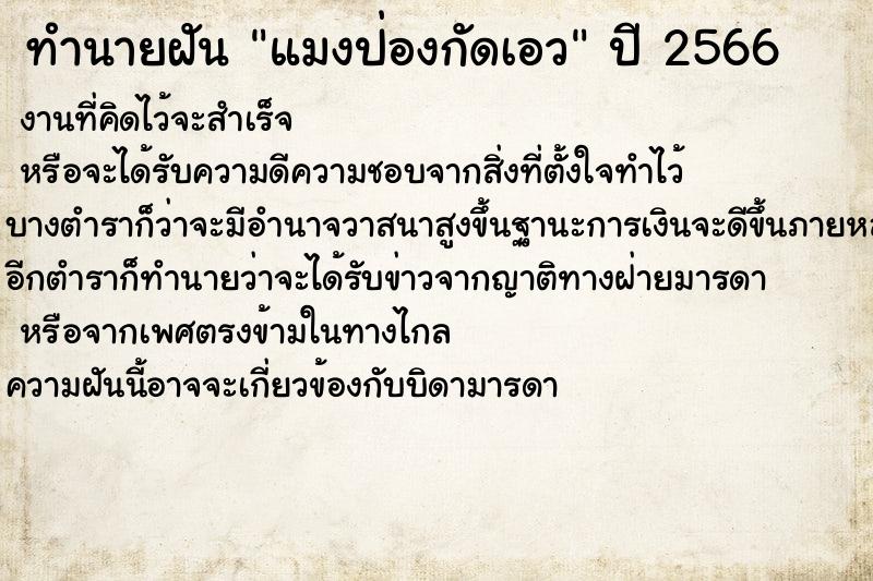 ทำนายฝันทำนายฝันแมงป่องกัดเอว