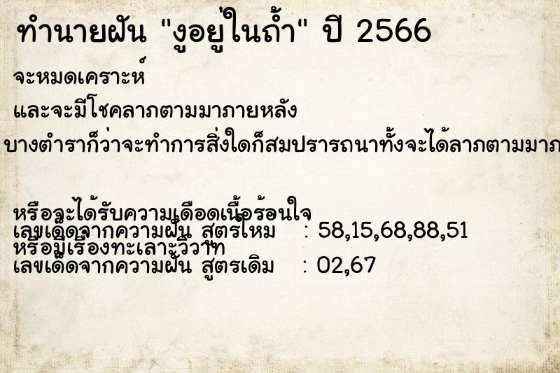 ทำนายฝัน งูอยู่ในถ้ำ ตำราโบราณ แม่นที่สุดในโลก