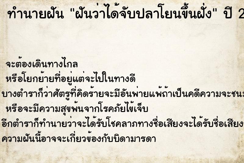 ทำนายฝันฝันว่าได้จับปลาโยนขึ้นฝั่ง ทำนายฝันทำนายฝันฝันว่าได้จับปลาโยนขึ้นฝั่ง