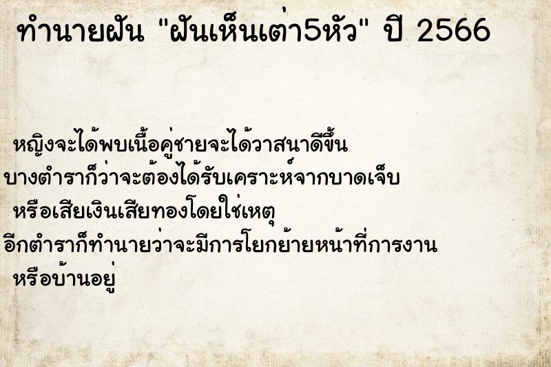 ทำนายฝันทำนายฝันฝันเห็นเต่า5หัว