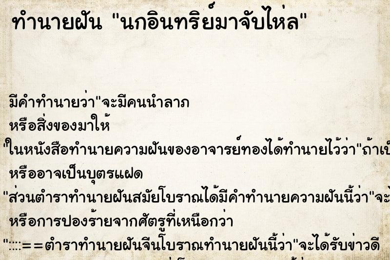 ทำนายฝันนกอินทริย์มาจับไห่ล ทำนายฝันทำนายฝันนกอินทริย์มาจับไห่ล