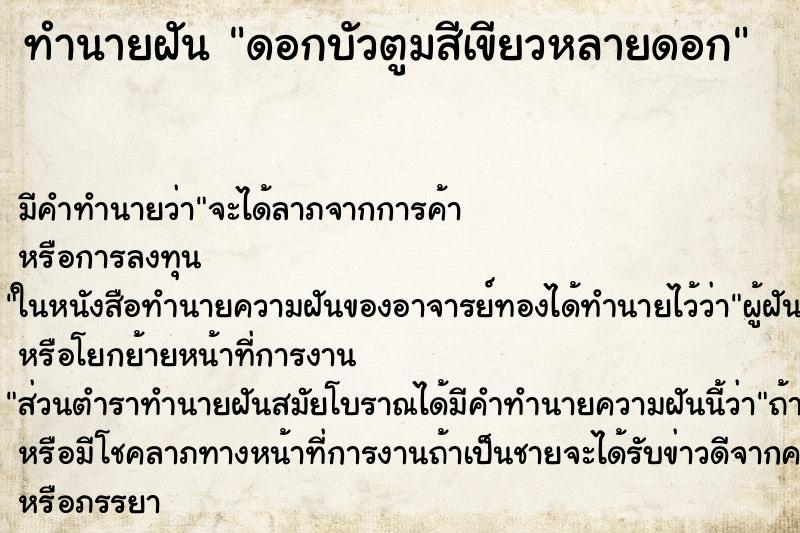 ทำนายฝัน ดอกบัวตูมสีเขียวหลายดอก ทำนายฝัน ดอกบัวตูมสีเขียวหลายดอก
