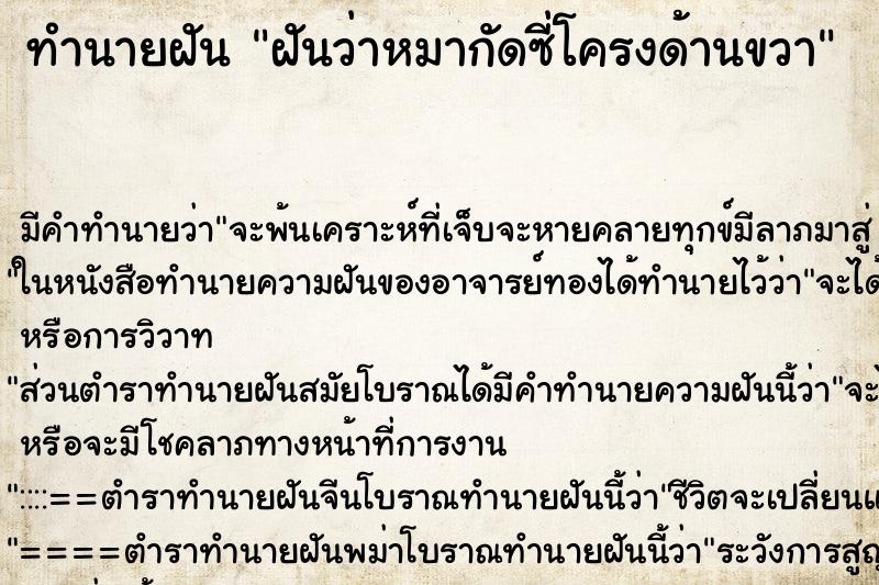 ทำนายฝัน ฝันว่าหมากัดซี่โครงด้านขวา ทำนายฝัน ฝันว่าหมากัดซี่โครงด้านขวา