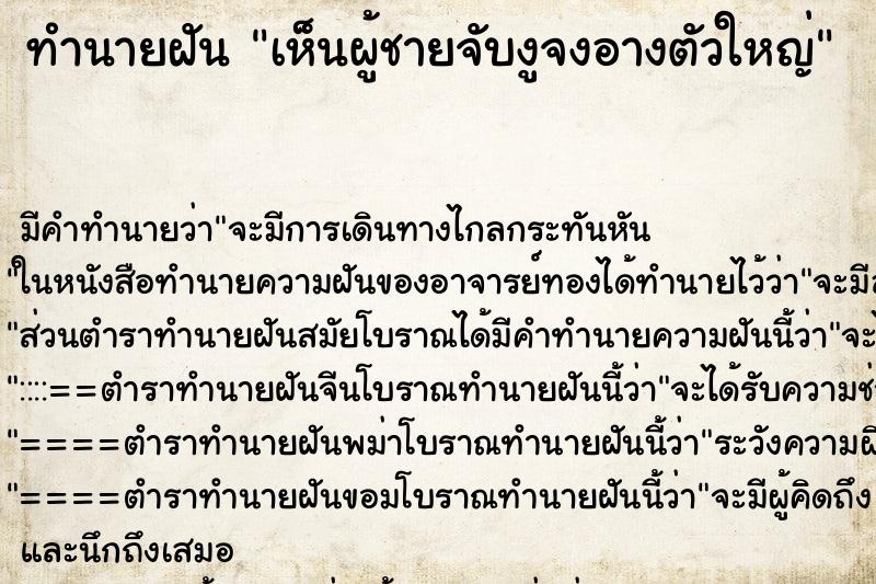 ทำนายฝันเห็นผู้ชายจับงูจงอางตัวใหญ่ ทำนายฝันทำนายฝันเห็นผู้ชายจับงูจงอางตัวใหญ่