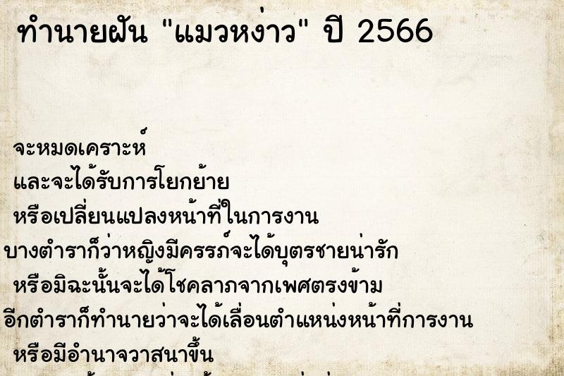 ทำนายฝันแมวหง่าว ทำนายฝันทำนายฝันแมวหง่าว