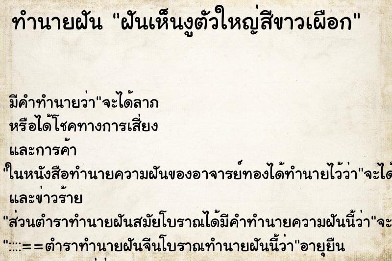 ทำนายฝัน ฝันเห็นงูตัวใหญ่สีขาวเผือก ทำนายฝัน ฝันเห็นงูตัวใหญ่สีขาวเผือก