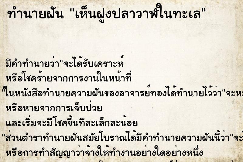 ทำนายฝัน เห็นฝูงปลาวาฬในทะเล ทำนายฝัน เห็นฝูงปลาวาฬในทะเล