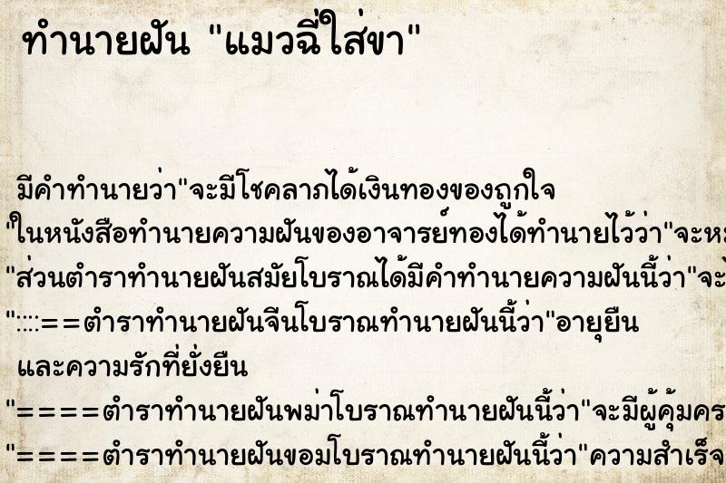 ทำนายฝัน แมวฉี่ใส่ขา