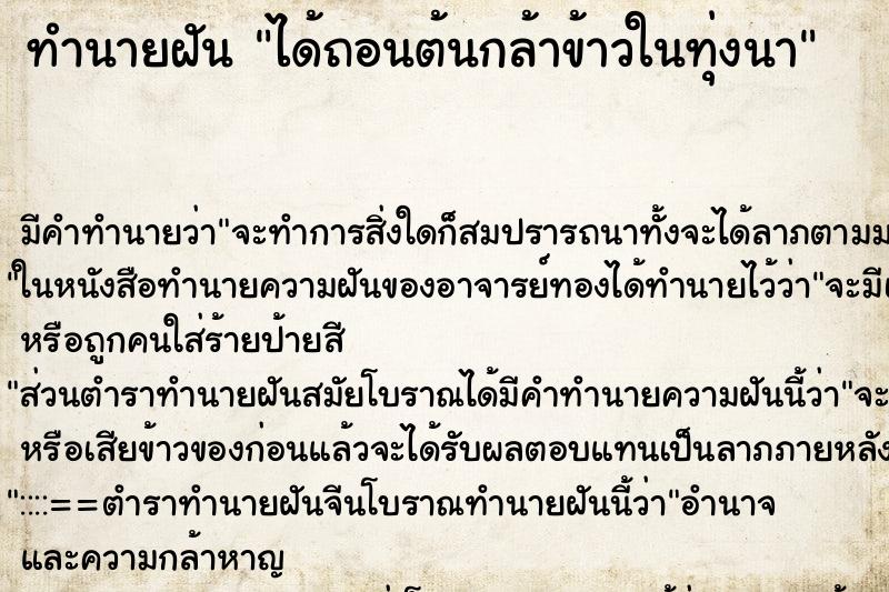 ทำนายฝัน ได้ถอนต้นกล้าข้าวในทุ่งนา ทำนายฝัน ได้ถอนต้นกล้าข้าวในทุ่งนา