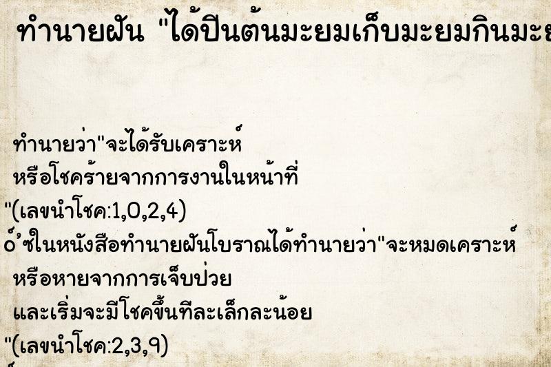 ทำนายฝัน ได้ปีนต้นมะยมเก็บมะยมกินมะยมมีแต่ลูกงาม ทำนายฝัน ได้ปีนต้นมะยมเก็บมะยมกินมะยมมีแต่ลูกงาม