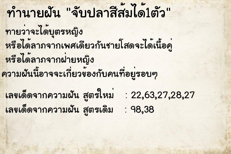 ทำนายฝันจับปลาสีส้มได้1ตัว ทำนายฝันทำนายฝันจับปลาสีส้มได้1ตัว