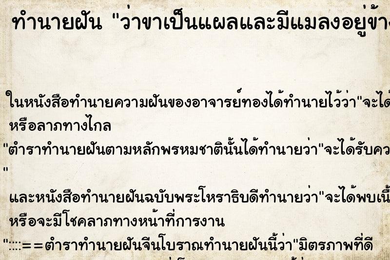 ทำนายฝัน ว่าขาเป็นแผลและมีแมลงอยู่ข้างในเป็นโพรงเต็ ทำนายฝัน ว่าขาเป็นแผลและมีแมลงอยู่ข้างในเป็นโพรงเต็