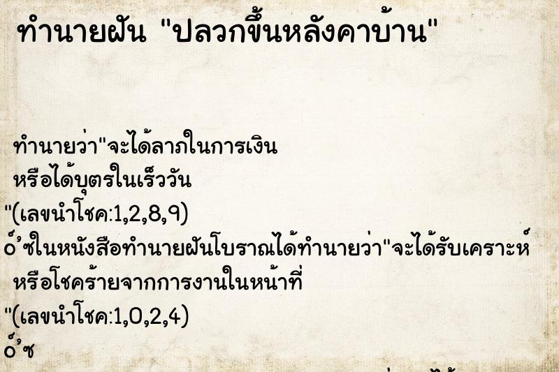 ทำนายฝัน ปลวกขึ้นหลังคาบ้าน ทำนายฝัน ปลวกขึ้นหลังคาบ้าน