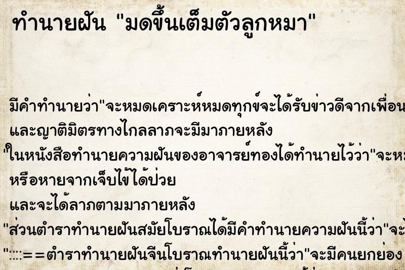 ทำนายฝันทำนายฝันมดขึ้นเต็มตัวลูกหมา