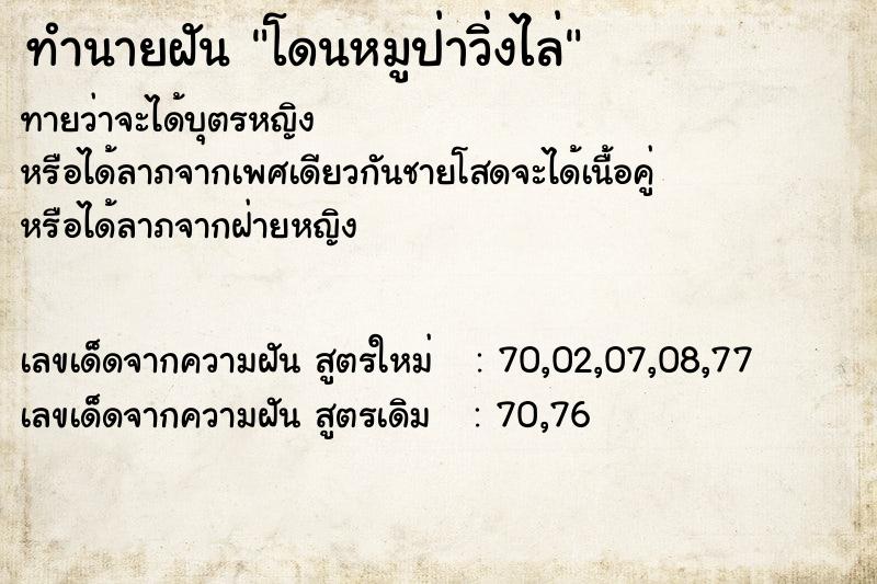 ทำนายฝันโดนหมูป่าวิ่งไล่ ทำนายฝันทำนายฝันโดนหมูป่าวิ่งไล่