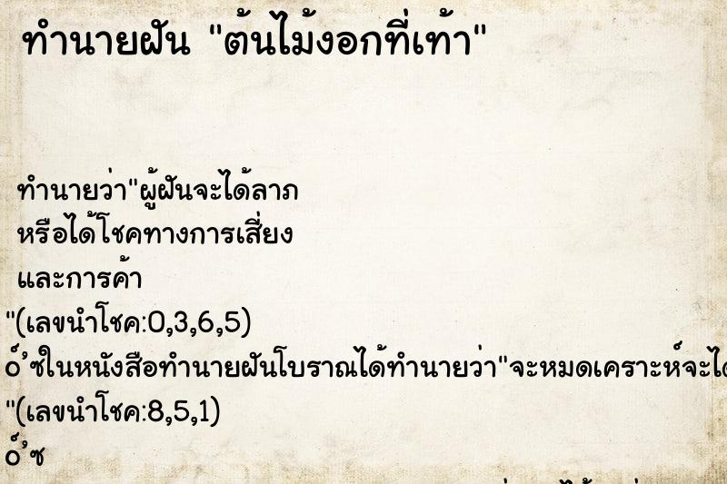 ทำนายฝัน ต้นไม้งอกที่เท้า ทำนายฝัน ต้นไม้งอกที่เท้า