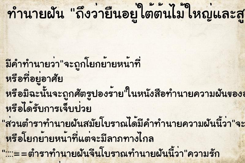 ทำนายฝันถึงว่ายืนอยู่ใต้ต้นไม้ใหญ่และสูงร่มครึ้ม ทำนายฝันทำนายฝันถึงว่ายืนอยู่ใต้ต้นไม้ใหญ่และสูงร่มครึ้ม