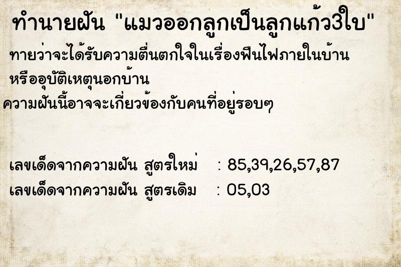 ทำนายฝันแมวออกลูกเป็นลูกแก้ว3ใบ ทำนายฝันทำนายฝันแมวออกลูกเป็นลูกแก้ว3ใบ