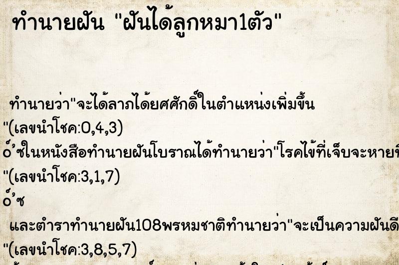 ทำนายฝัน ฝันได้ลูกหมา1ตัว ตำราโบราณ แม่นที่สุดในโลก