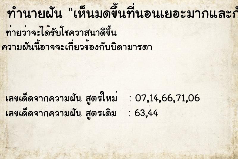 ทำนายฝันทำนายฝันเห็นมดขึ้นที่นอนเยอะมากและกัดด้วย