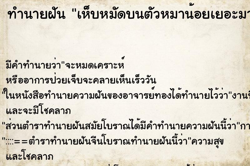 ทำนายฝัน เห็บหมัดบนตัวหมาน้อยเยอะมาก ทำนายฝัน เห็บหมัดบนตัวหมาน้อยเยอะมาก